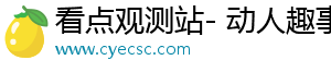 看点观测站- 动人趣事，让你精彩生活